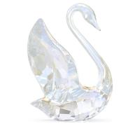 SCS Annual Edition Swan 2024