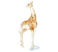 SCS Giraffe Baby