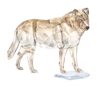 SCS Gray Wolf