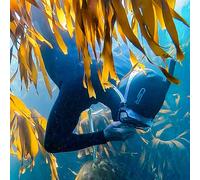 Scuba Diving for Two