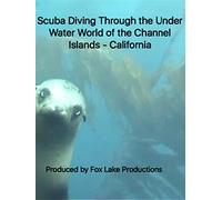 Scuba Diving Through the Under Water World of the Channel Islands