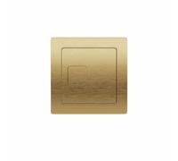 Scudo Brushed Brass Toilet Concealed Cable Cistern Wc Toilet Push Button Square Dual Flush Plate