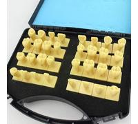 Sculpted Tooth Guide Model 3X Enlarged with Crown, Half Root and Abutment, Tooth Shape and Anatomy for Teaching Dentistry and Maxillofacial