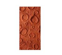 Sculpture Wall Tiles,Multifunctional Decorative Wall Panels,Moon Panels,Faux Rock Panel for Interior Wall Decor(5pcs, Red)