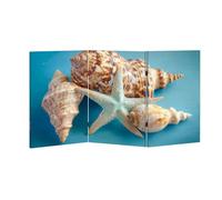Scumlovy 2 Ft Room Divider Screen Summer Inspiration Vacation Composition Beach Starfish Shells Blue Portable Short Canvas Folding 3 Panel Freestanding Separator Privacy Partition Indoor Home Office