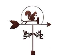 Scumlovy Exquisite Metal Weather Vane Ornament Bigfoot Fire Dragon Longhorn Weathervane Measuring Tools Wind Direction Indicator Weathercock Suitable for Outdoor Products