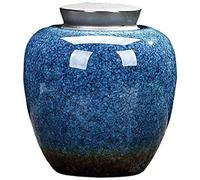 SCWZZWSY Urns Urns For Ashes Urns For Ashes Adult Ceramic Funeral The Ashes Cans To Preserve The Dignity And Memory Of Your Loved Ones (Blue 2#)