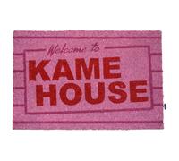 SD Toys - Anime Dragon Ball Doormat 60X40 CM - Door Welcome Mat (Kame House)