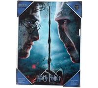 SD Toys Harry Potter and Voldemort Poster, Multicoloured, 41x31x3 cm