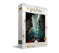 Sd Toys Harry Potter Voldemort Vs Harry Puzzle 1000 Pieces