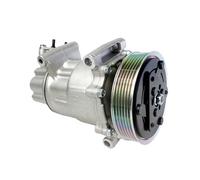 SD6C12 Air Conditioner A/C Compressor, Compatible With Peugeot 207 307 CC, Compatible With Citroen DS3 C4 1607424980 1671553680 6453QJ 9678656080 9651910980
