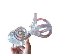 SdaryWare 1 pair,20cm, Semicircular Canal Otolith Dynamic Model Otolith Particles Dynamic Model Inner Ear Cochlear Vestibular Rehabilitation Model,Right-20cm
