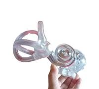 SdaryWare 1 pair,20cm, Semicircular Canal Otolith Dynamic Model Otolith Particles Dynamic Model Inner Ear Cochlear Vestibular Rehabilitation Model,Left-20cm