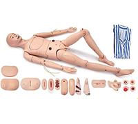 SdaryWare Demonstration Human Manikin, 63in Life Size Patient Care Simulator with Interchangeable Genital Nursing Skills for Teaching at School of Nursing Medicine,Male