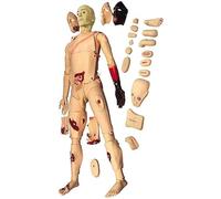 SdaryWare Educational Model Multi-Functional Patient Care Simulator Nursing Manikin First Aid Trauma Human Anatomical Model for Nursing Medical Training