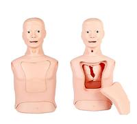 SdaryWare Half Body Nursing Model Airway Intubation Half Body Manikin Teaching Models Advanced Nasogastric Tube And Trachea Care Model Gastric Lavage Tracheostomy Model for Nurse Students