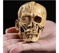 SdaryWare Human Skull Art Model - Scientific Anatomy Human Skull Head Bone Model - Human Skull Painting Model - Resin Material Medical Art Drawing Model - for Art Sketch,A