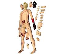 SdaryWare Patient Care Manikin Nursing Training Simulation Male and Female Human Anatomical Model for Nursing Medical Training
