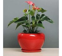 SdaryWare Vibrant Red Ceramic Flower Pot with Drainage Hole & Detachable Saucer, Modern Glazed Plant Pot for Indoor Outdoor Succulents, Houseplants, Herbs, Desktop & Home Decor,14.5 * 12cm