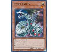 SDCS-EN011 Cyber Valley