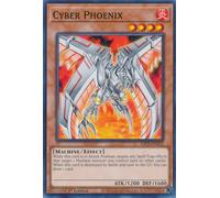 SDCS-EN012 Cyber Phoenix