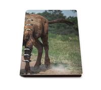 SDEGTHO Dynamic Rust Bison Lays Flat A5 Notebook, Refillable Leather Journal for Daily Organizer, Business Notes