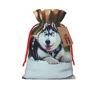 SDEGTHO Husky Dog 1pcs Durable Material Tote Bag 8.3x11.8in With Drawstring Choice For Halloween Stylish Gift
