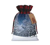 SDEGTHO Winter Snow Falling In The Park 1pcs Durable Material Tote Bag 8.3 * 11.8in With Drawstring Choice For Halloween Stylish Gift