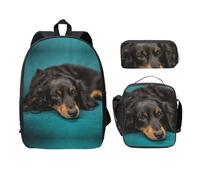 SDFCUMDM Dachshund Dog Print School Bag + Pencil Case + Lunch Bag Combination for Everyday Use