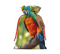 SDFHU Fantastic Parrot Feather Printing Festive Christmas Gift Bag Drawstring For Holiday Xmas Birthday Party Presents