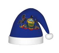 SDFHU Pennsylvania State Flag Print Christmas Hat For 13.78in Santa Cap Xmas Holiday For Festive And Party Accessories