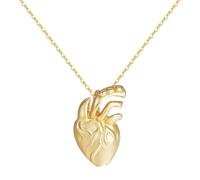 SDFXCDR necklace men Gold Color Plated Anatomical Heart Necklace One Side Vivid Human Organ Chain Pendant Collares Nurse Medical Nurse graduation gifts