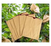 SDGBCXD fruit bags, 100pcs Double Layer Waterproof Grow Bags, Agriculture Orchard Breeding Bag For Peach/Apple/Pear(Red Inside)