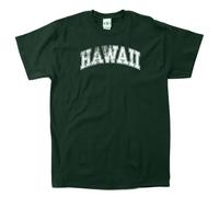 SDI NCAA Hawaii Rainbow Warriors 100-Percent Pre-Shrunk Vintage Arch Short Sleeve Tee, X-Large, Forest