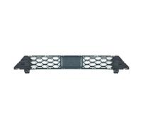 SDLDCVXZ The Ventilation Grille Under The Front Bumper Compatible for Edge 2015-2024(BTPS7453MBK)