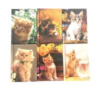 SDM 6 x Hard Back Kitten Cat Note Books Pads Party Bag Fillers