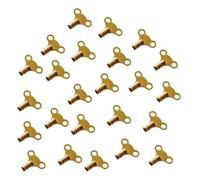 SDMAX Brass Radiator Key, Easy Grip, Heavy Duty Clock Type, Solid Brass Finish, Air Lock Releasing, Versatile, Air Vent Valve Keys, Easy Thumb Turnkey (24 PCS)