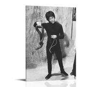 sdnkbro Bruce Lee Vintage Jeet Kune Do Master Bruce Lee King Cobra Poster Decorative Painting Canvas Wall Posters And Art Picture Print Modern Family Bedroom Decor Posters 12x18inch(30x45cm)
