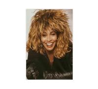 SDOBVDZ Singer Tina Turner Poster (3) Canvas Poster Bedroom Decor Landscape Office Room Decor Gift 20x30inch(50x75cm)