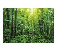 SDOTPMT 10x7ft Graceful Natural Scenery Polyester Backdrop Sunlight Evergreen Forest Jungle Spring Summer Rainforest Background for Kids Family Camping Theme Banner Events Photo Studio Props