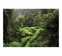 SDOTPMT 10x8ft Forest Rainforest Polyester Backdrop Lush Fresh Evergreen Jungle Spring Summer Suburb Natural Landscape Background Children Family Camping Theme Banner Events Photo Studio Props