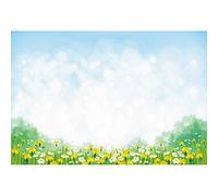 SDOTPMT 12x8ft Blue Sky White Clouds Polyester Backdrop Fresh Wild Blossoms Weed Rural Pastoral Landscape Spring Outing Photography Background Adults Portrait Photo Birthday Decor Studio Props