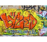 SDOTPMT 12x8ft Colorful City Alley Polyester Backdrop Street Graffiti Wall Photography Background Color Paint Splash Backgrounds for Rock Concert Party Decor Adult Portrait Photo Booth Props