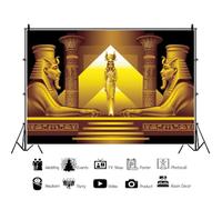 SDOTPMT 20x10ft Ancient Egyptian Temple Vinyl Backdrop Sphinx Egypt Pyramids Gods Queen Background Antiquity History Culture Mural Travel Tourism Theme Art Wall Adult Kid Portrait Photo Props