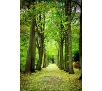 SDOTPMT 3x5ft Scenery Backdrop Falling Leaves Tall Trees Jungle Woodland Photography Background Rustic Forest Backgrounds for Kids Birthday Party Decor Adults Portrait Photo Studio Props