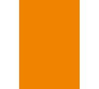 SDOTPMT 3x5ft Solid Color Orange Polyester Backdrop Indoor Portrait Background Studio Headshots Magic Show Newborn Photoshoot Props Photocall Magic Show Kids Pet Birthday Decorations