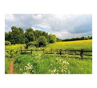 SDOTPMT 5x3ft Outdoor Field Landscape Polyester Backdrop Spring Summer Rustic Natural Green Grassland Trees Flowers Blue Sky White Clouds Background Kids Adults Portrait Studio Props