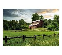 SDOTPMT 5x3ft Spring Natural Scenery Polyester Backdrop Beautiful Rustics Grassland Meadow Flowers Grass Old Cottage Background Birthday Wedding Party Banner Decor Video Shooting Props