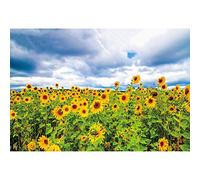 SDOTPMT 5x3ft Spring Sunflower Polyester Backdrop Blue Sky White Clouds Natural Landscape Outing Theme Vibrant Botanical Plants Background Adults Portrait Photo Video Shooting Studio Props