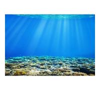 SDOTPMT 5x3ft Underwater World Polyester Backdrop Under The Sea Undersea Sunlight Deep Blue Water Aquatic Plants Coral Background Marine Theme Birthday Party Fish Tank Decor Photo Studio Props